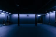 Cinema