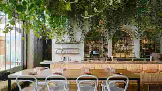 Bavel Restaurant