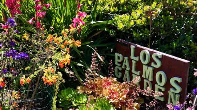 Los Palmos Community Garden: vibrant flowers, ideal for outdoor events and gatherings.