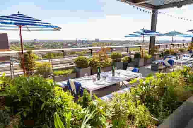 Skylark Roof Garden