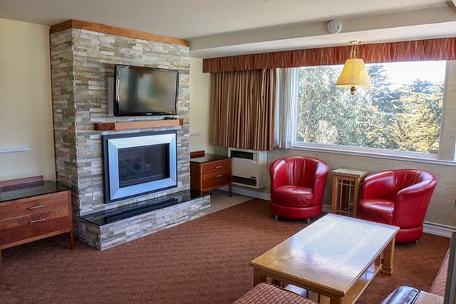 Fireplace Units