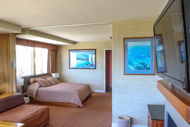Fireplace Units