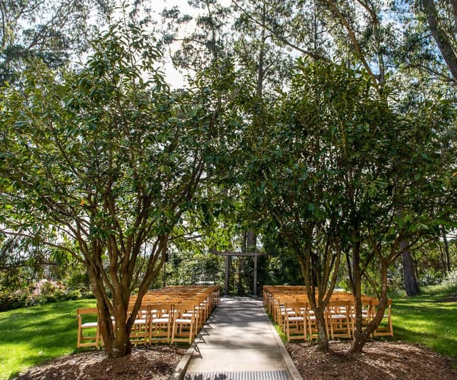 Outdoor Garden