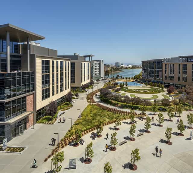 Modern outdoor event space at The Cove, featuring serene landscaping and water features.