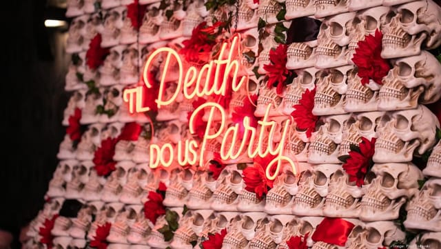 Mission District's newest bar, Dahlia ...