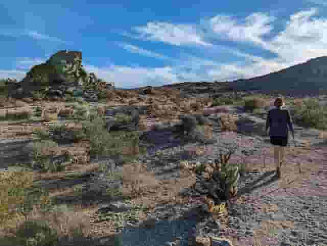 William Kenyon Overlook