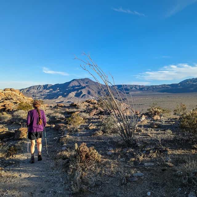 William Kenyon Overlook