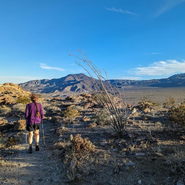William Kenyon Overlook