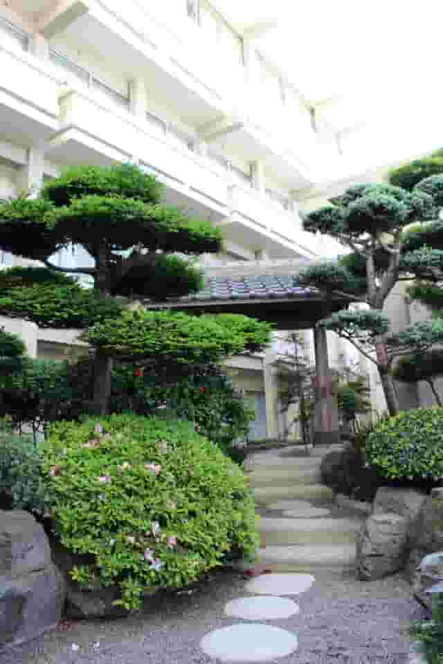 The Courtyard