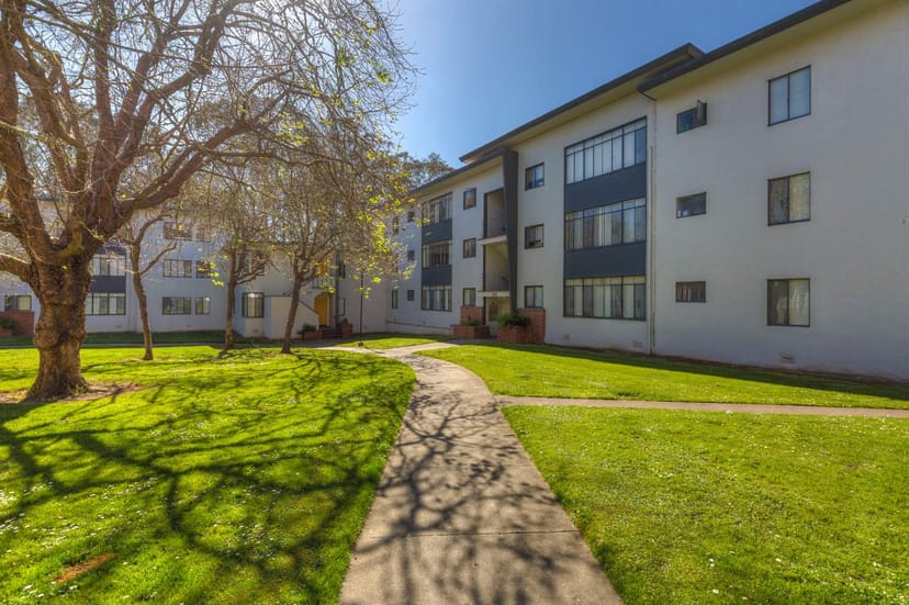 University Park North outdoor space with lush greenery, ideal for networking events.