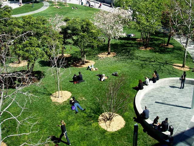 Great Lawn