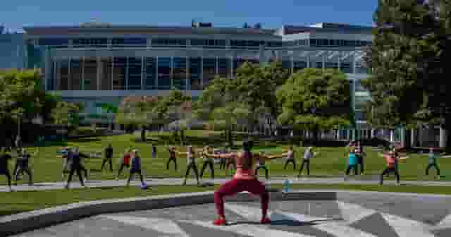 Great Lawn