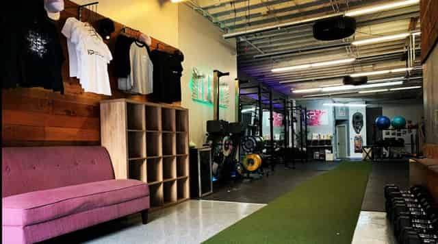 The Playground