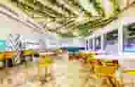Networking Venues