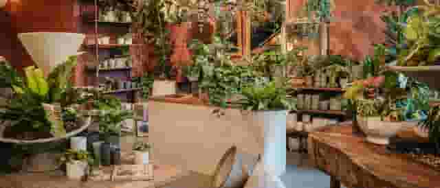 The Showroom