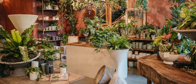 The Showroom