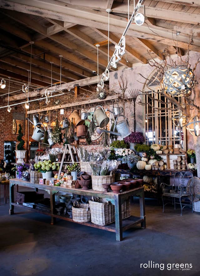 The Showroom