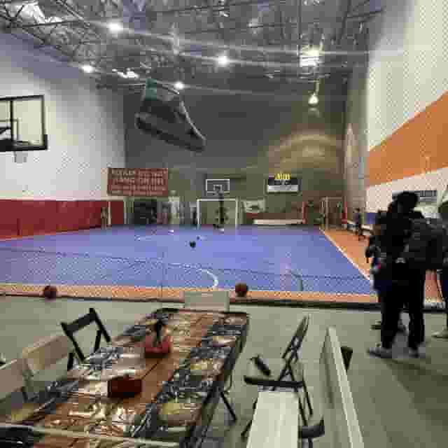 Badminton/Volleyball Court