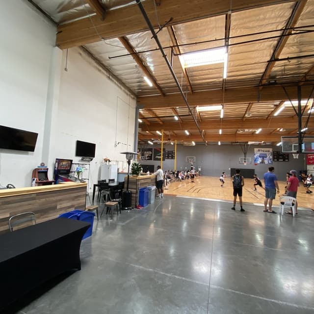 Badminton/Volleyball Court
