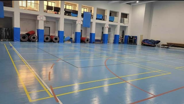 Badminton/Volleyball Court