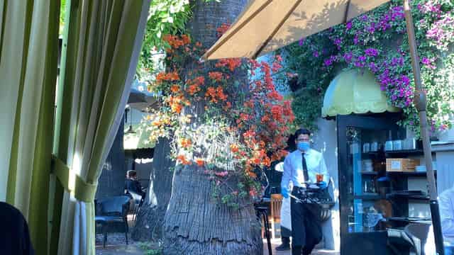 Wrap-around Patio