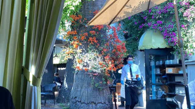 Wrap-around patio at Ca' Del Sole, vibrant outdoor event space with lush greenery.