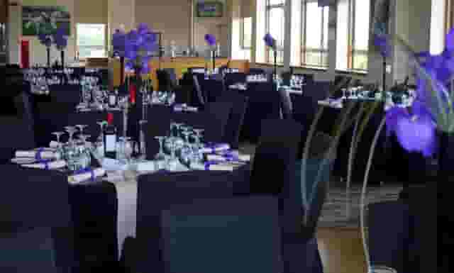 Desert Orchid Suite