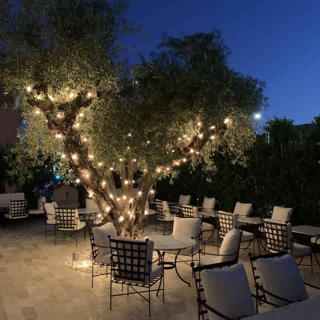 Cara Restaurant