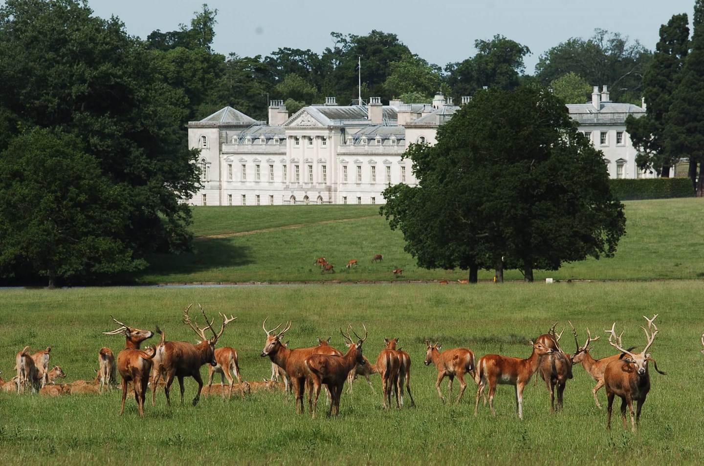 "Deer Park Tour & Dinner venue with estate, deer, perfect for outdoor weddings and events." - Banner