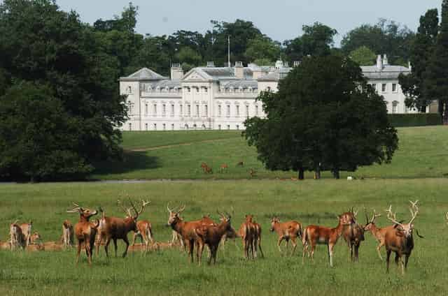 The Woburn