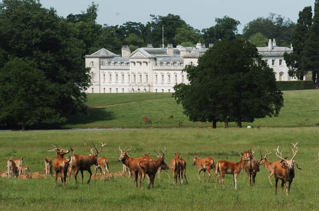 The Woburn