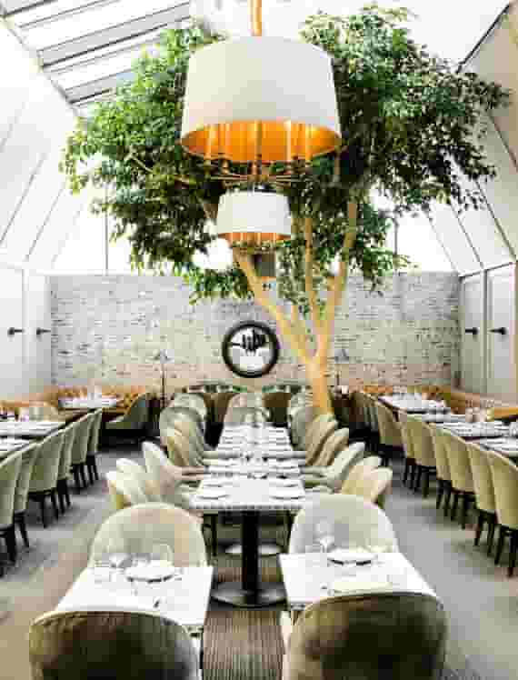 Main Dining Area