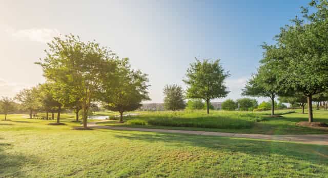 La Mesa Community Garden: lush greenery, ideal for outdoor events and gatherings.