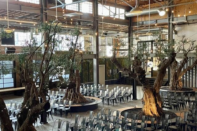 Main Bar at Venue 808 with olive trees, perfect for corporate events and ceremonies.