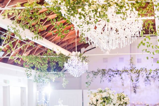 VASA San Diego - image 1