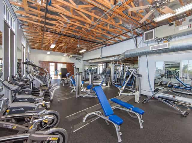 Gymnasium