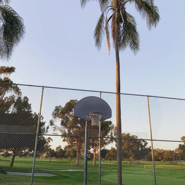 Multipurpose Field
