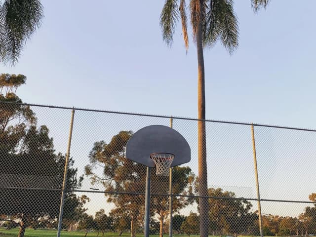 Gymnasium