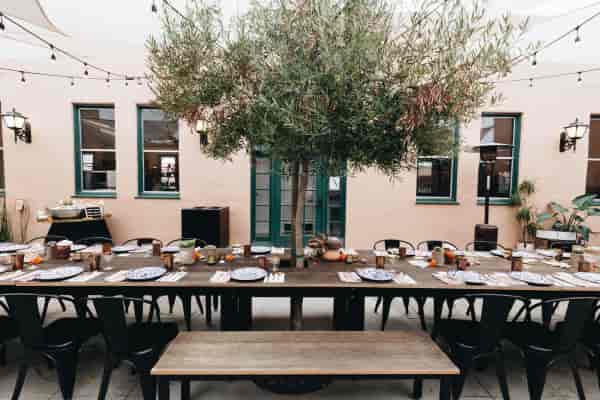 Outdoor dining setup at Ingram Plaza with olive tree, ideal for events and gatherings.
