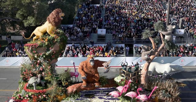Themed Floats