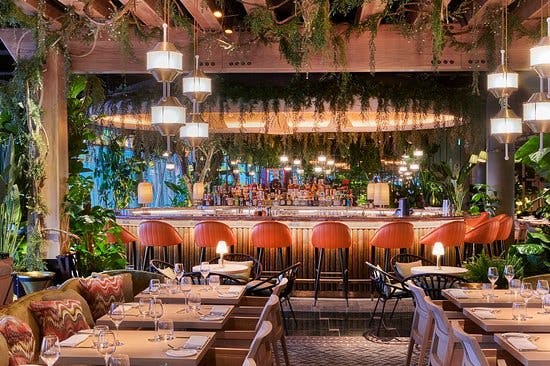 Semi-private lounge at 14 Hills with lush greenery, ideal for events and gatherings.