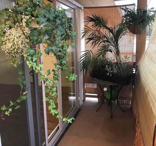 Welcoming gym entryway with greenery at Point Loma Tennis Club for networking events.