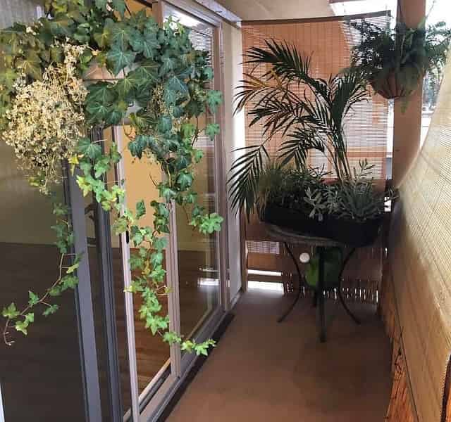 Gym Rooms
