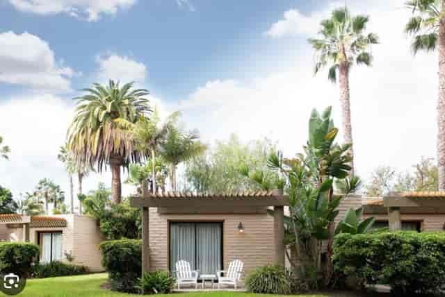 Serene Paradise Ballroom outdoor setting with palm trees for events and meetings.