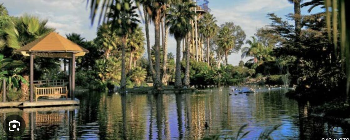 Lagoon Gazebo at The Point: serene outdoor venue for events with lush palm trees.