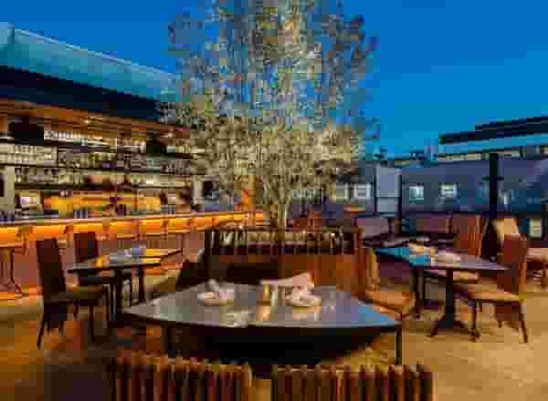 Rooftop Patio