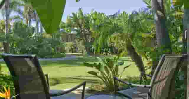 Tropical Courtyard