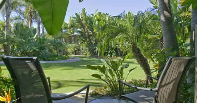 Tropical Courtyard