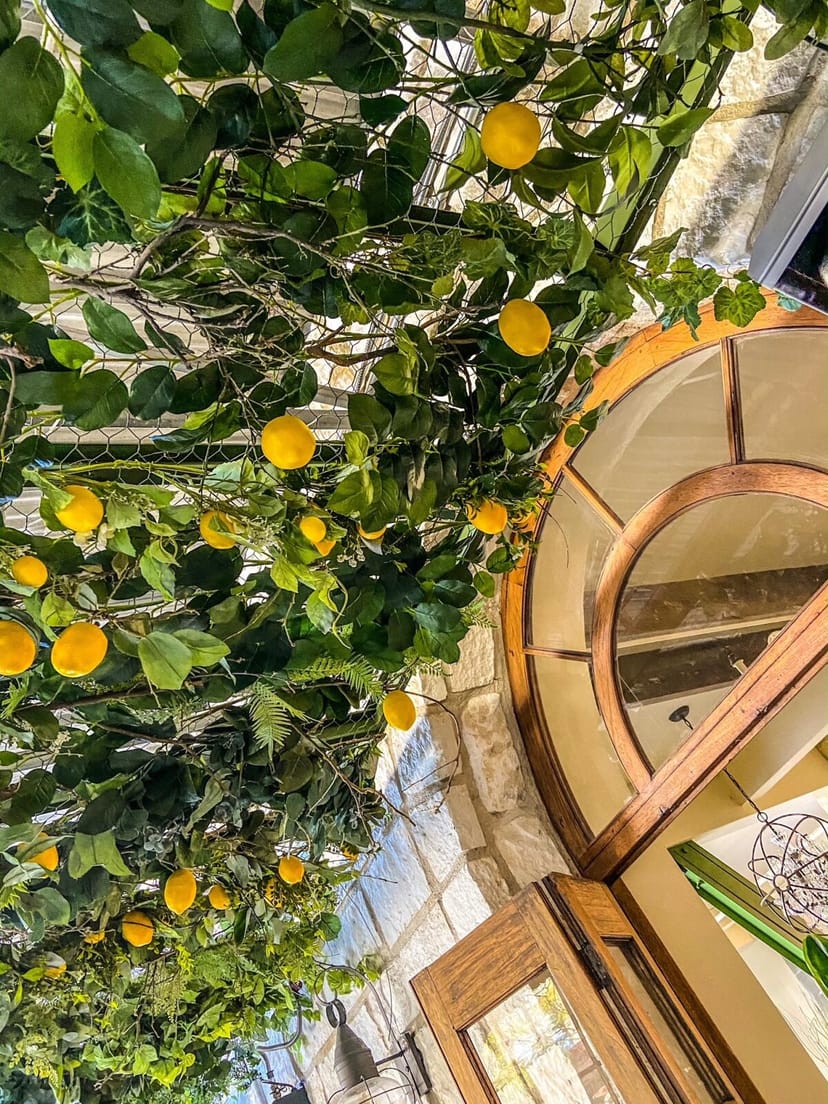 Charming entrance with lemon trees, perfect for outdoor weddings and corporate retreats.
