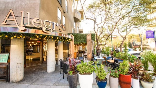 Vibrant outdoor dining at The Lemon Room, perfect for casual meetings and events.